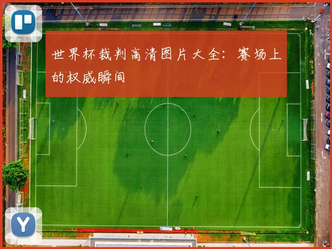 世界杯裁判高清图片大全：赛场上的权威瞬间