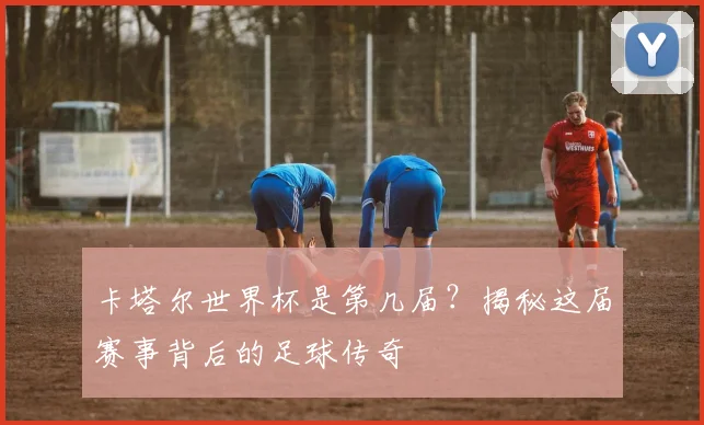卡塔尔世界杯是第几届?揭秘这届赛事背后的足球传奇