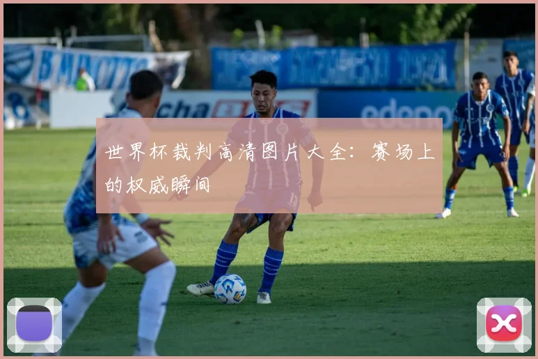 世界杯裁判高清图片大全：赛场上的权威瞬间