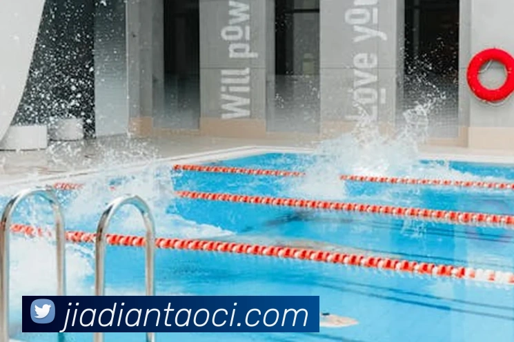 抓饭体育官方网站发展历程